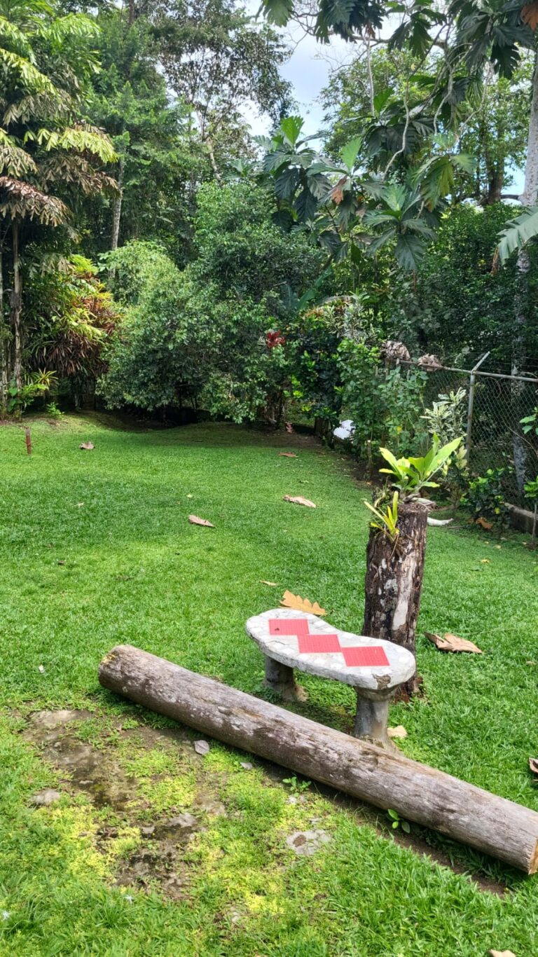 WhatsApp Image 2026 02 10 At 11.21.19 768x1366